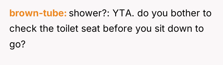 brown-tube shower?: YTA. do you bother to check the toilet...