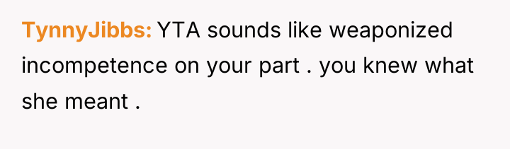 TynnyJibbs YTA sounds like weaponized incompetence on your part ....