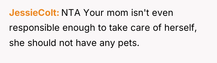 JessieColt NTA Your mom isn't even responsible enough to take...