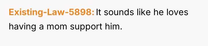 Existing-Law-5898 It sounds like he loves having a mom support...
