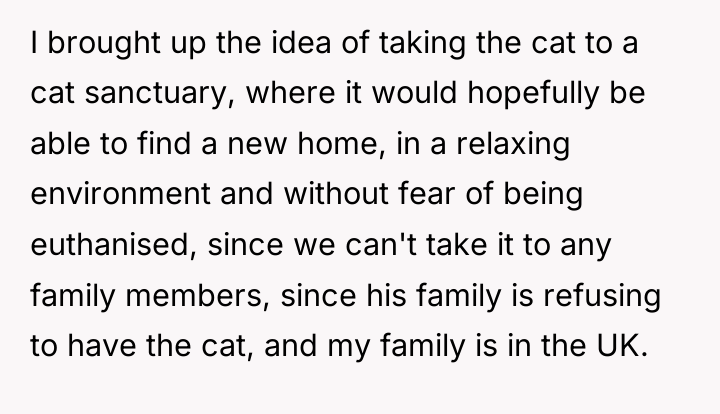 I brought up the idea of taking the cat to...