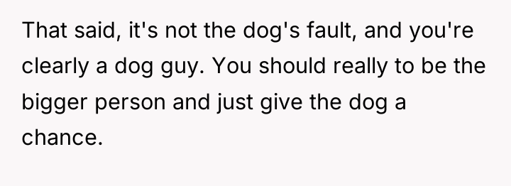 That said, it's not the dog's fault, and you're clearly...