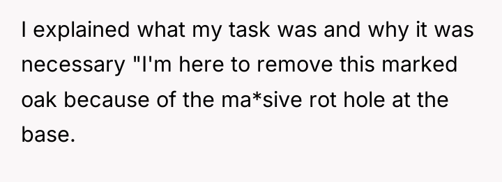 I explained what my task was and why it was...