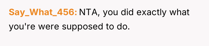 Say_What_456 NTA, you did exactly what you're were supposed to...