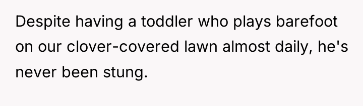 Despite having a toddler who plays barefoot on our clover-covered...