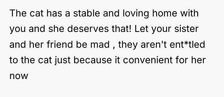 The cat has a stable and loving home with you...