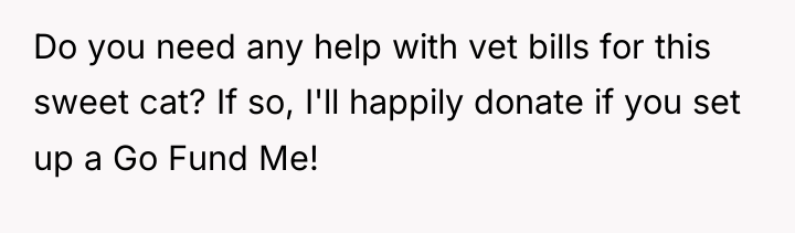 Do you need any help with vet bills for this...