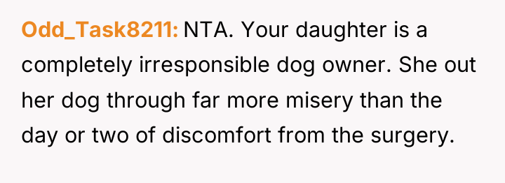 Odd_Task8211 NTA. Your daughter is a completely irresponsible dog owner....