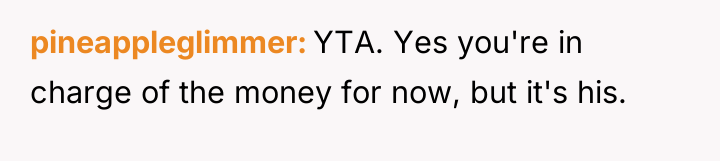 pineappleglimmer YTA. Yes you're in charge of the money for...