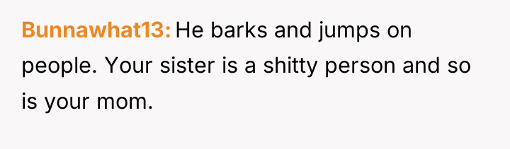 Bunnawhat13 He barks and jumps on people. Your sister is...