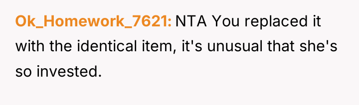 Ok_Homework_7621 NTA You replaced it with the identical item, it's...