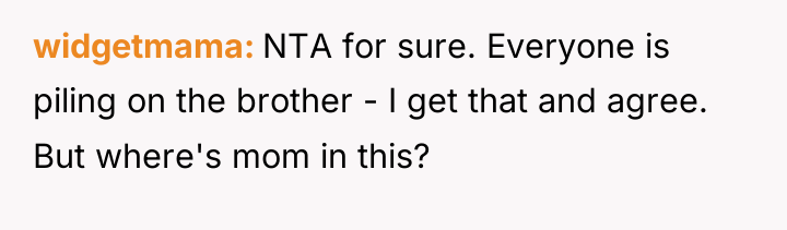 widgetmama NTA for sure. Everyone is piling on the brother...