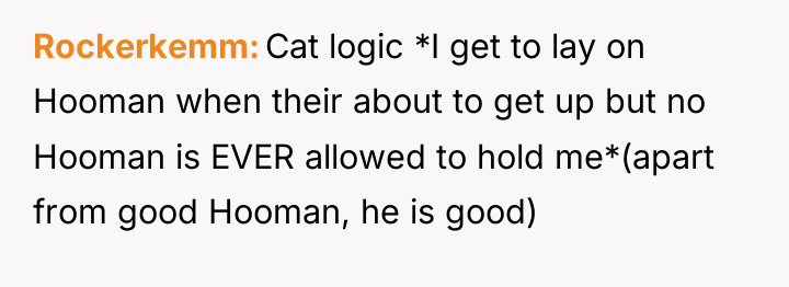 Rockerkemm Cat logic *I get to lay on Hooman when...