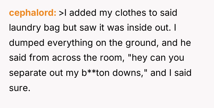 cephalord >I added my clothes to said laundry bag but...
