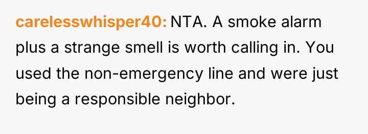 carelesswhisper40 NTA. A smoke alarm plus a strange smell is...