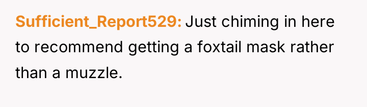 Sufficient_Report529 Just chiming in here to recommend getting a foxtail...