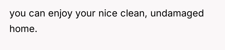 you can enjoy your nice clean, undamaged home.