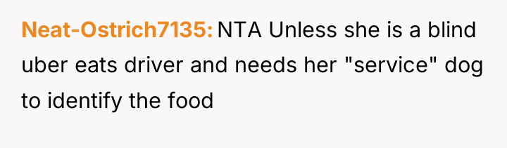 Neat-Ostrich7135 NTA Unless she is a blind uber eats driver...