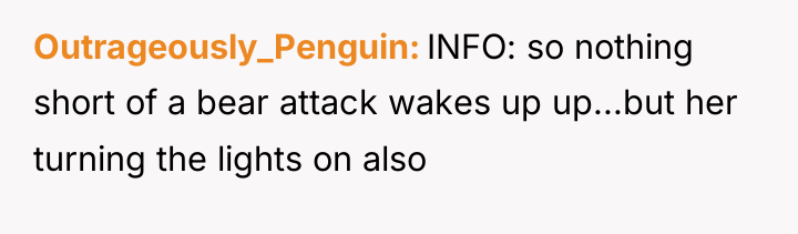 Outrageously_Penguin INFO: so nothing short of a bear attack wakes...