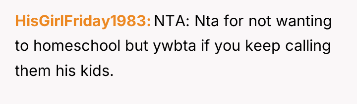 HisGirlFriday1983 NTA: Nta for not wanting to homeschool but ywbta...