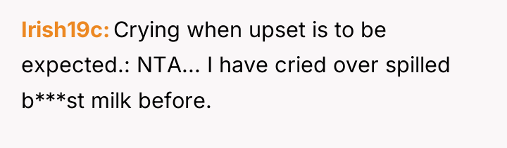 Irish19c Crying when upset is to be expected.: NTA... I...