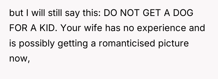 but I will still say this: DO NOT GET A...
