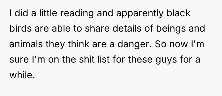 I did a little reading and apparently black birds are...