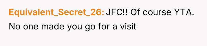 Equivalent_Secret_26 JFC!! Of course YTA. No one made you go...