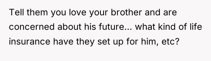 Tell them you love your brother and are concerned about...