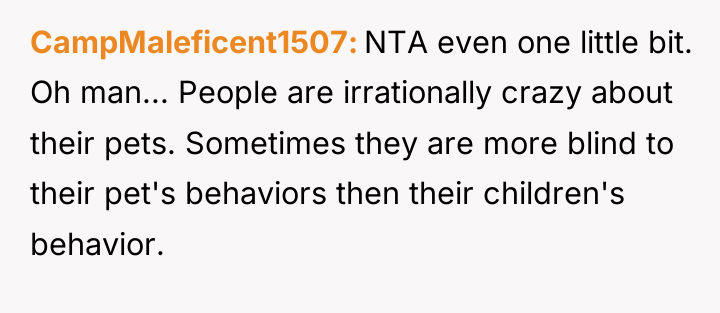 CampMaleficent1507 NTA even one little bit. Oh man... People are...