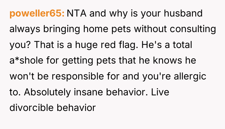 poweller65 NTA and why is your husband always bringing home...