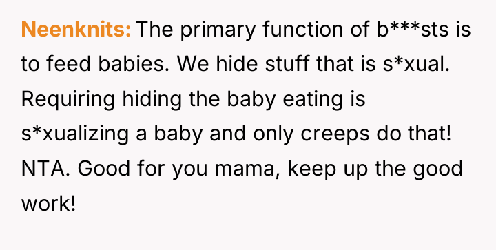 Neenknits The primary function of b***sts is to feed babies....