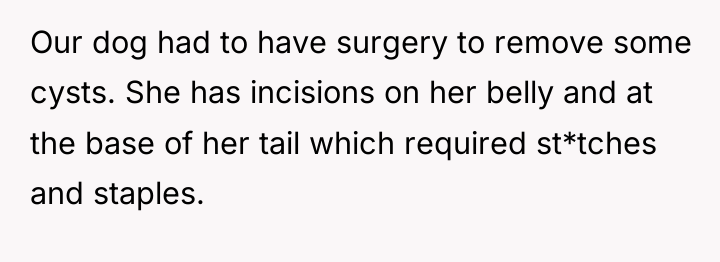 Our dog had to have surgery to remove some cysts....