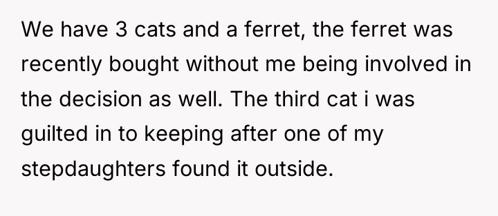 We have 3 cats and a ferret, the ferret was...