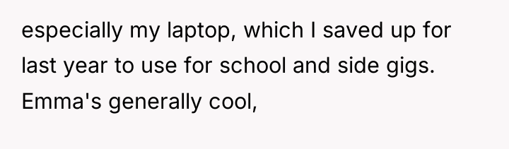 especially my laptop, which I saved up for last year...