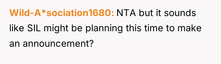 Wild-A*sociation1680 NTA but it sounds like SIL might be planning...