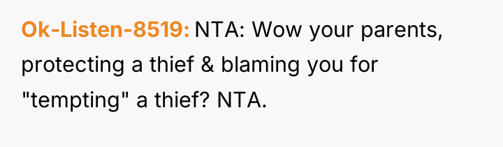Ok-Listen-8519 NTA: Wow your parents, protecting a thief & blaming...
