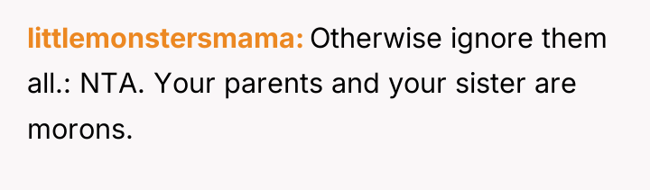 littlemonstersmama Otherwise ignore them all.: NTA. Your parents and your...