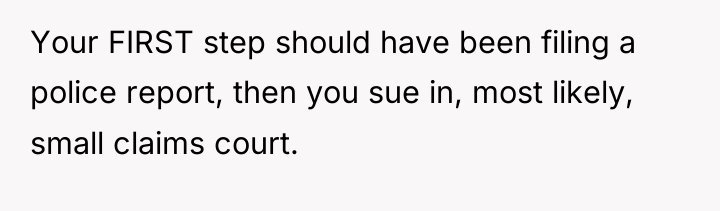 Your FIRST step should have been filing a police report,...