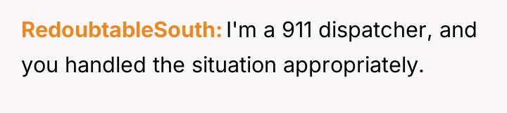 RedoubtableSouth I'm a 911 dispatcher, and you handled the situation...