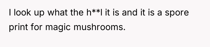 I look up what the h**l it is and it...