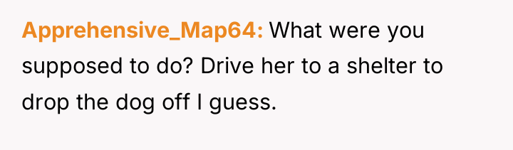 Apprehensive_Map64 What were you supposed to do? Drive her to...