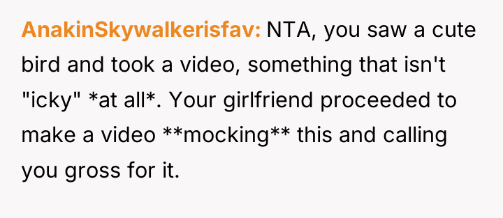 AnakinSkywalkerisfav NTA, you saw a cute bird and took a...