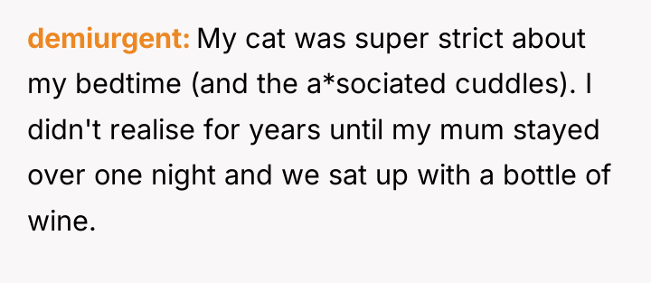 demiurgent My cat was super strict about my bedtime (and...