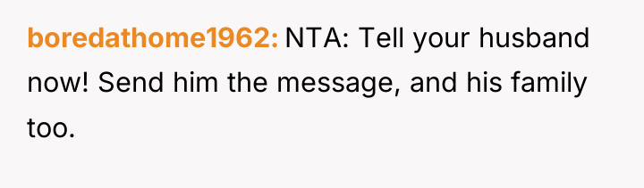 boredathome1962 NTA: Tell your husband now! Send him the message,...