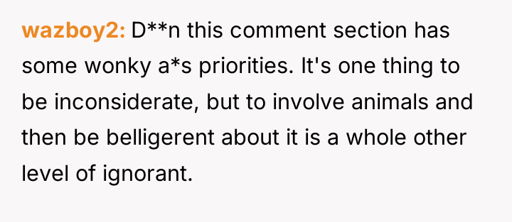 wazboy2 D**n this comment section has some wonky a*s priorities....