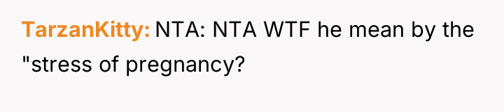 TarzanKitty NTA: NTA WTF he mean by the "stress of...