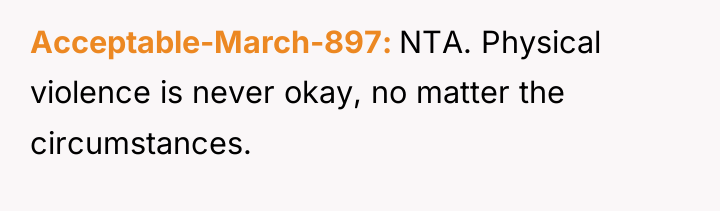 Acceptable-March-897 NTA. Physical violence is never okay, no matter the...