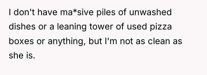 I don't have ma*sive piles of unwashed dishes or a...