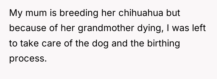 My mum is breeding her chihuahua but because of her...